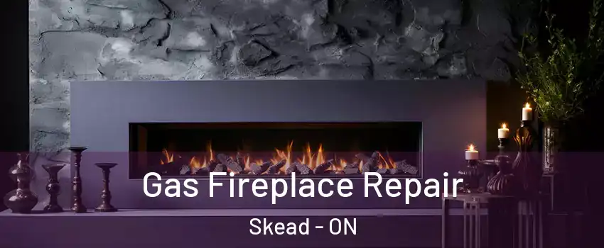  Gas Fireplace Repair Skead - ON