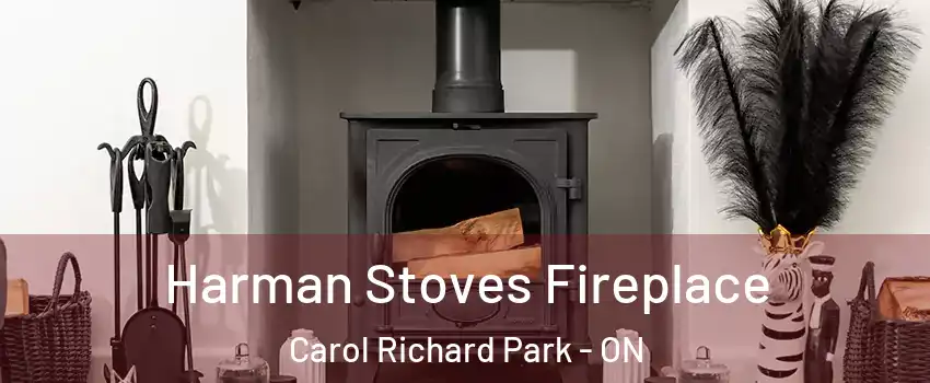  Harman Stoves Fireplace Carol Richard Park - ON