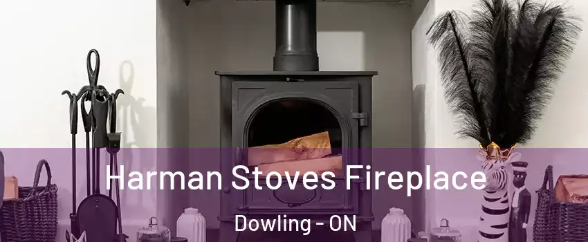  Harman Stoves Fireplace Dowling - ON