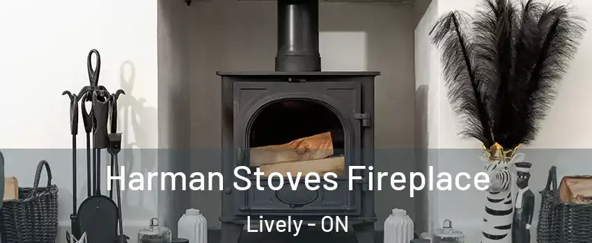  Harman Stoves Fireplace Lively - ON