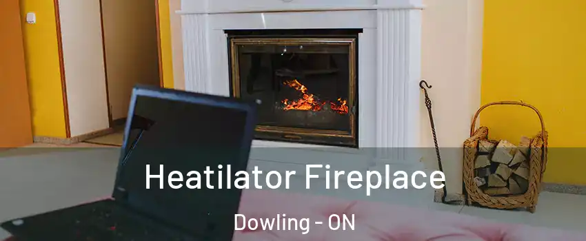  Heatilator Fireplace Dowling - ON