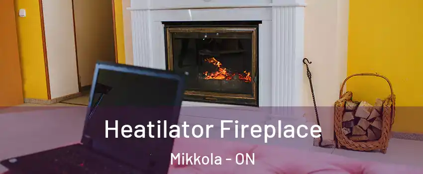  Heatilator Fireplace Mikkola - ON