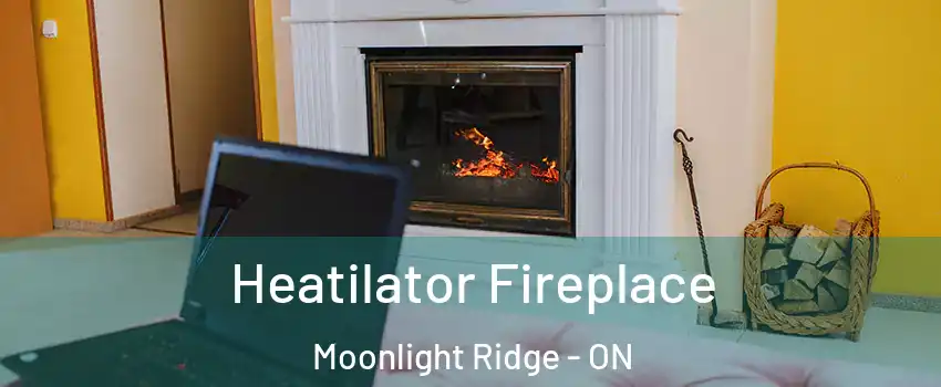  Heatilator Fireplace Moonlight Ridge - ON