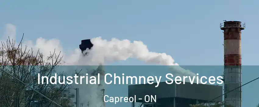  Industrial Chimney Services Capreol - ON