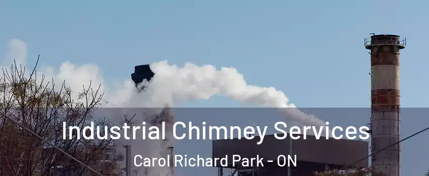  Industrial Chimney Services Carol Richard Park - ON