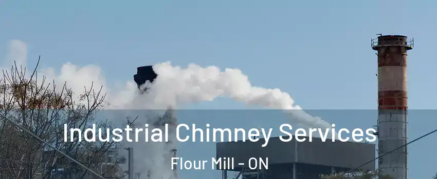  Industrial Chimney Services Flour Mill - ON