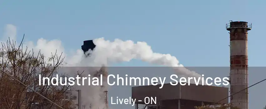  Industrial Chimney Services Lively - ON