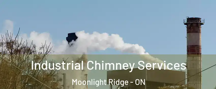  Industrial Chimney Services Moonlight Ridge - ON