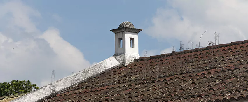 Wind-Resistant Chimney Caps Installation and Repair Services in Sudbury, Ontario