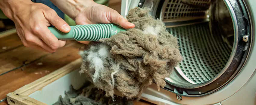 Best Dryer Lint Removal Company in Sudbury, Ontario