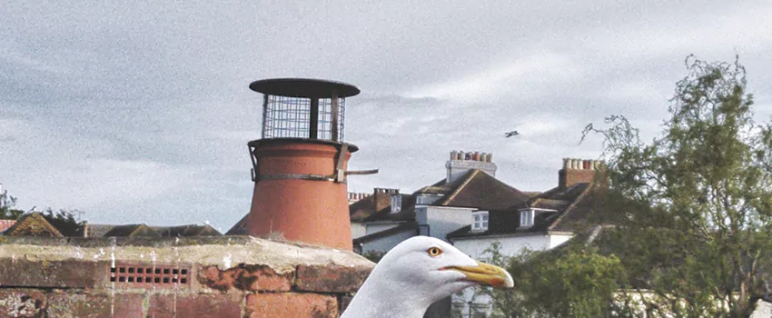 Chimney Cap Bird Guard Repair in Sudbury, Ontario