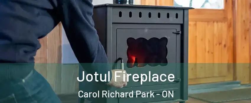  Jotul Fireplace Carol Richard Park - ON