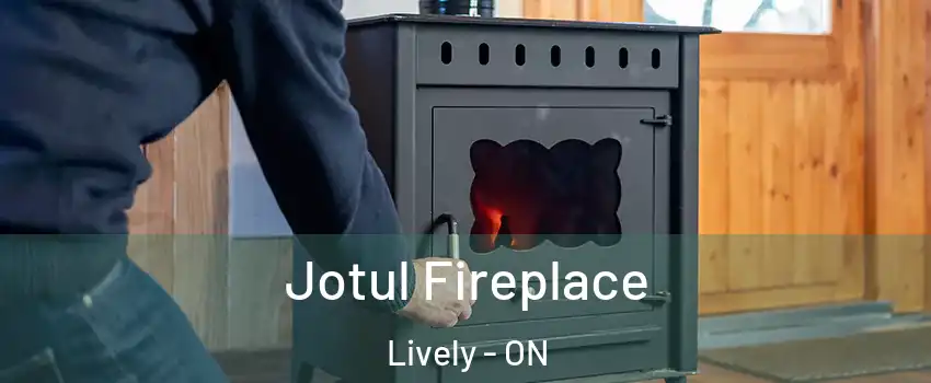  Jotul Fireplace Lively - ON