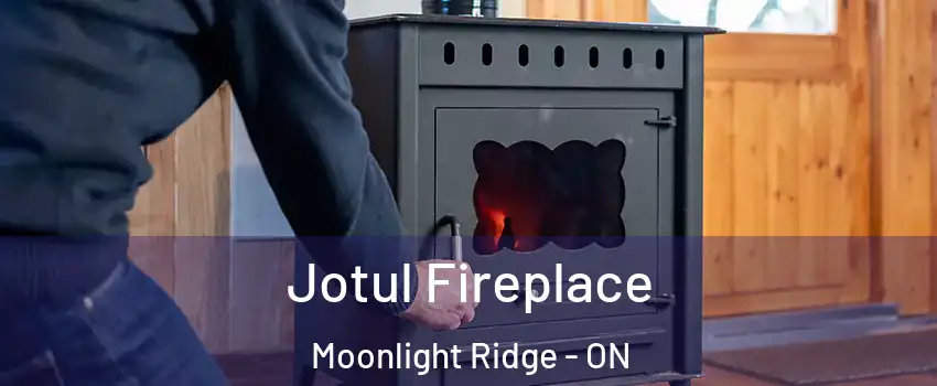  Jotul Fireplace Moonlight Ridge - ON