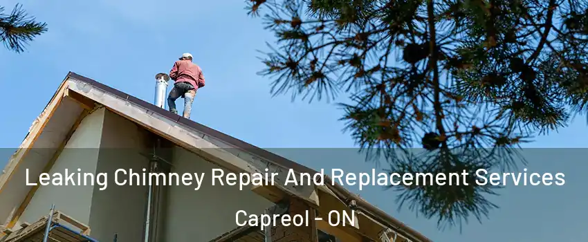  Leaking Chimney Repair And Replacement Services Capreol - ON