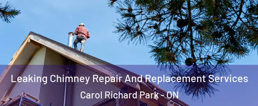  Leaking Chimney Repair And Replacement Services Carol Richard Park - ON