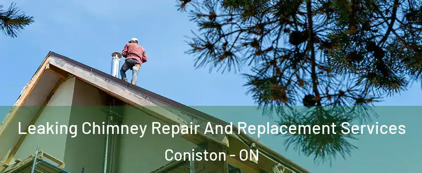  Leaking Chimney Repair And Replacement Services Coniston - ON
