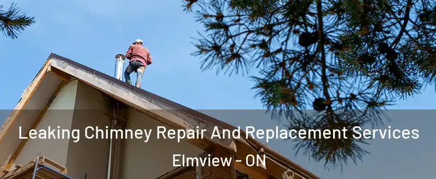  Leaking Chimney Repair And Replacement Services Elmview - ON