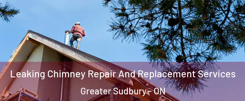  Leaking Chimney Repair And Replacement Services Greater Sudbury - ON