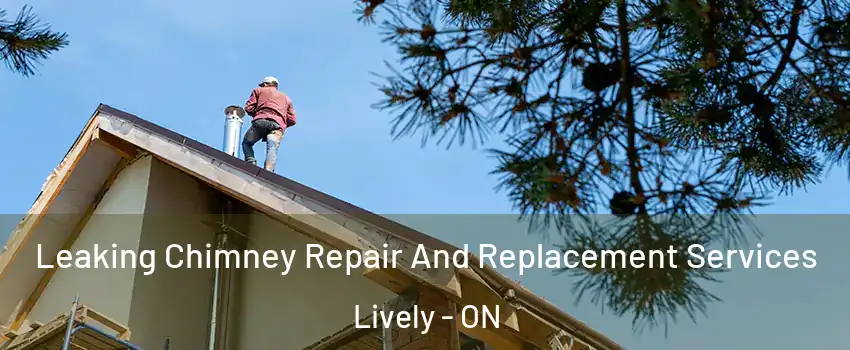  Leaking Chimney Repair And Replacement Services Lively - ON
