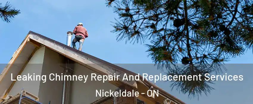  Leaking Chimney Repair And Replacement Services Nickeldale - ON