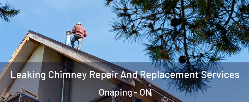  Leaking Chimney Repair And Replacement Services Onaping - ON