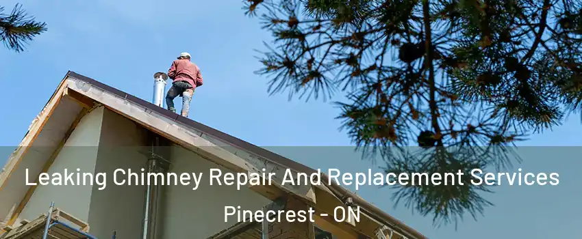  Leaking Chimney Repair And Replacement Services Pinecrest - ON