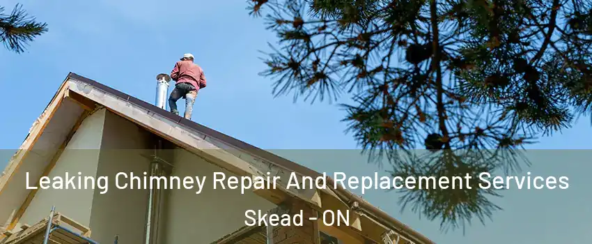  Leaking Chimney Repair And Replacement Services Skead - ON
