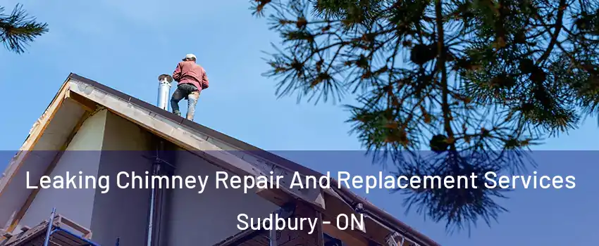  Leaking Chimney Repair And Replacement Services Sudbury - ON