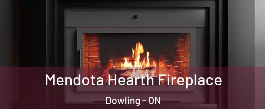 Mendota Hearth Fireplace Dowling - ON