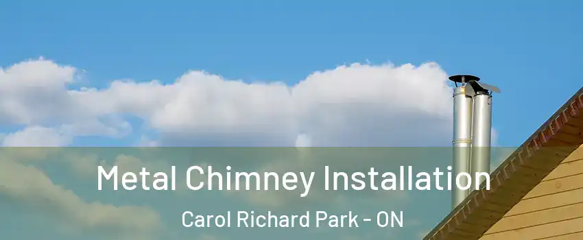  Metal Chimney Installation Carol Richard Park - ON