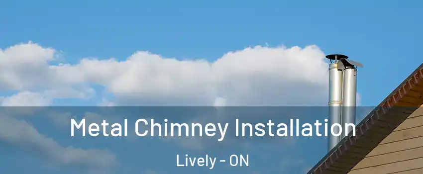  Metal Chimney Installation Lively - ON