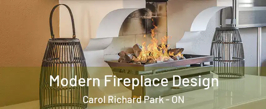  Modern Fireplace Design Carol Richard Park - ON