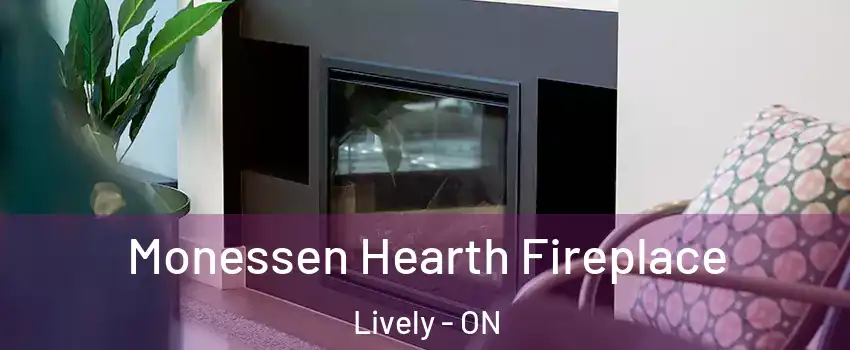  Monessen Hearth Fireplace Lively - ON