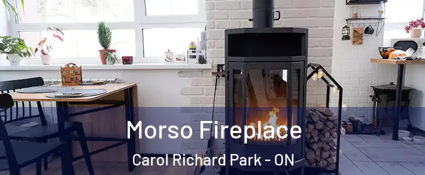  Morso Fireplace Carol Richard Park - ON