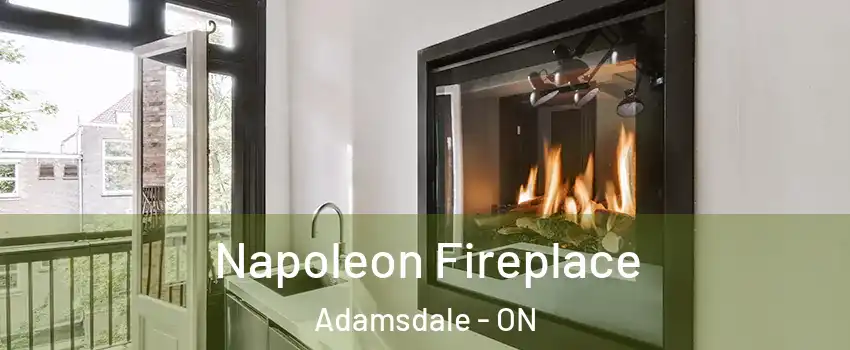  Napoleon Fireplace Adamsdale - ON