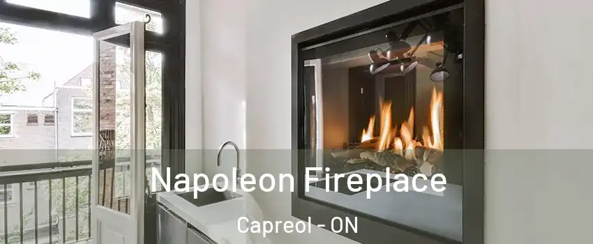  Napoleon Fireplace Capreol - ON