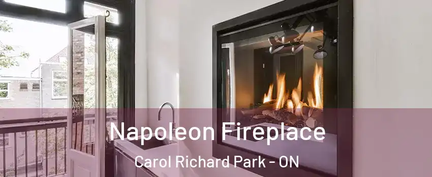  Napoleon Fireplace Carol Richard Park - ON
