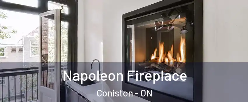 Napoleon Fireplace Coniston - ON
