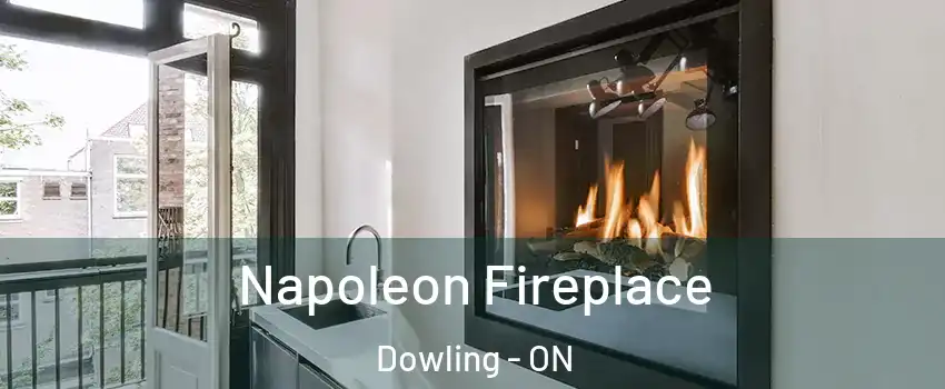  Napoleon Fireplace Dowling - ON