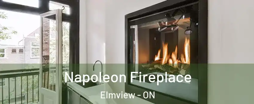  Napoleon Fireplace Elmview - ON