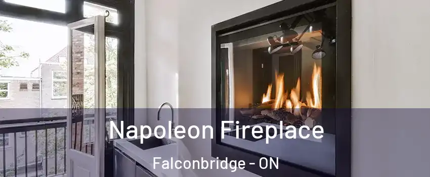  Napoleon Fireplace Falconbridge - ON