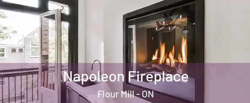  Napoleon Fireplace Flour Mill - ON