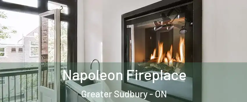  Napoleon Fireplace Greater Sudbury - ON