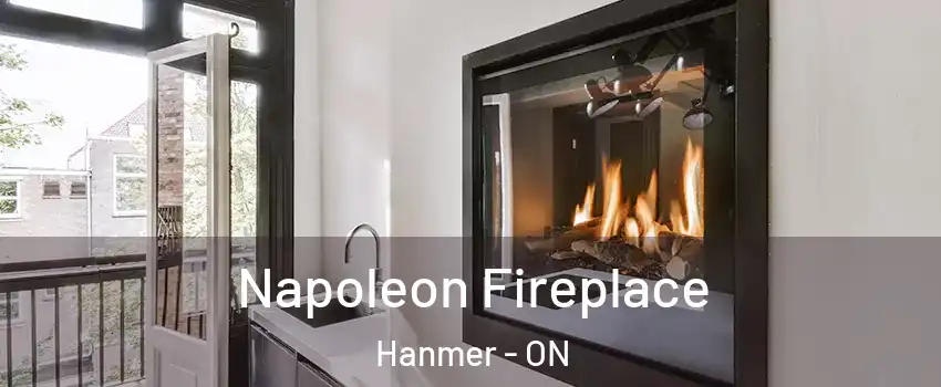  Napoleon Fireplace Hanmer - ON