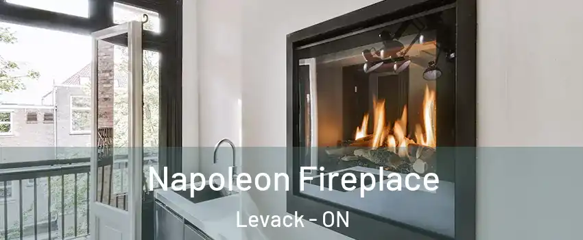  Napoleon Fireplace Levack - ON