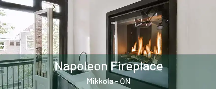  Napoleon Fireplace Mikkola - ON