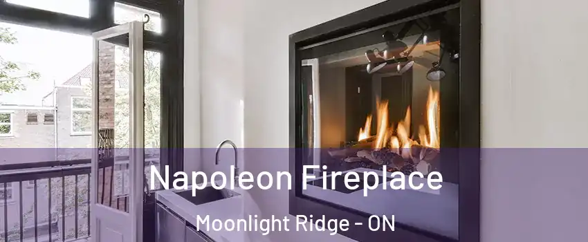  Napoleon Fireplace Moonlight Ridge - ON