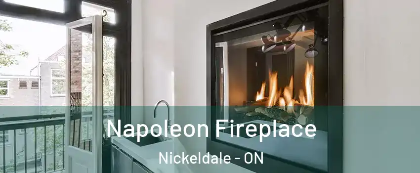  Napoleon Fireplace Nickeldale - ON