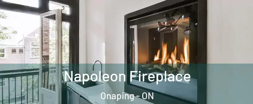  Napoleon Fireplace Onaping - ON